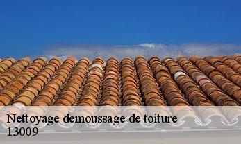 Nettoyage demoussage de toiture  13009